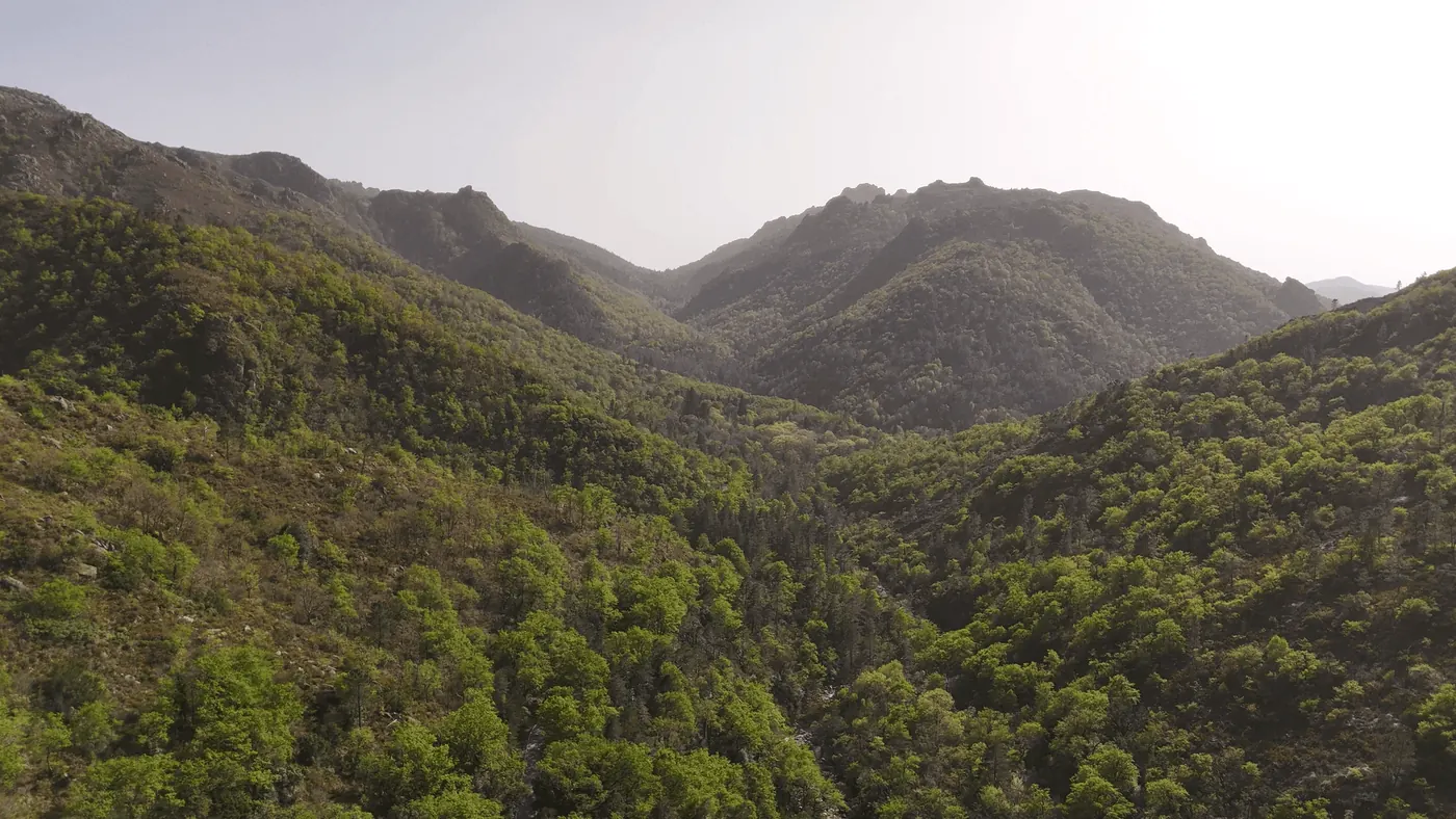 Serras verdes do Parque Nacional da Peneda-Gerês