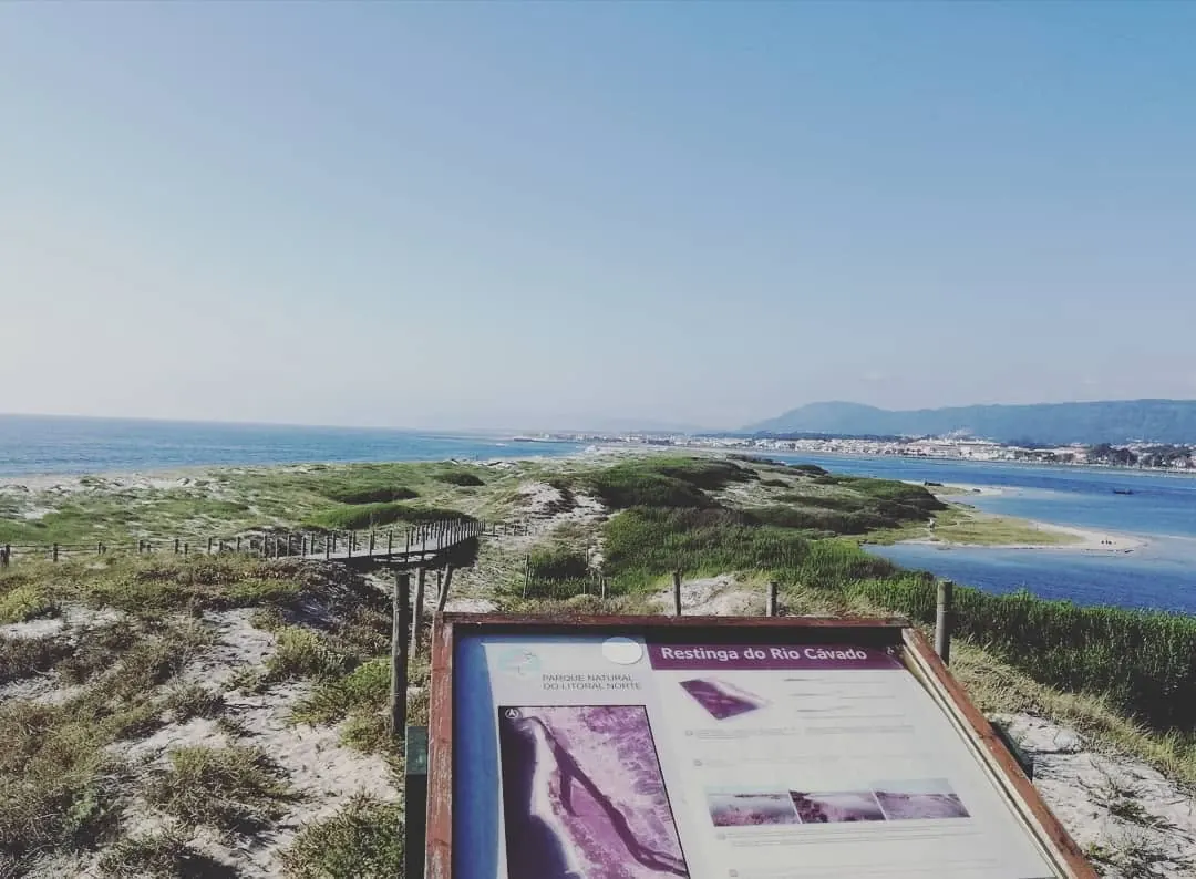 Passadiço nas dunas protegidas do Parque Natural do Litoral Norte
